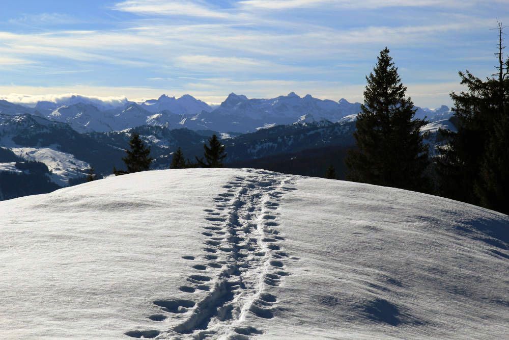 snowshoeing and cross country skiing in Les Menuires