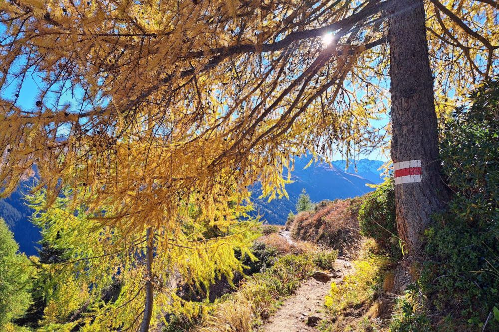 Autumn in Graubünden