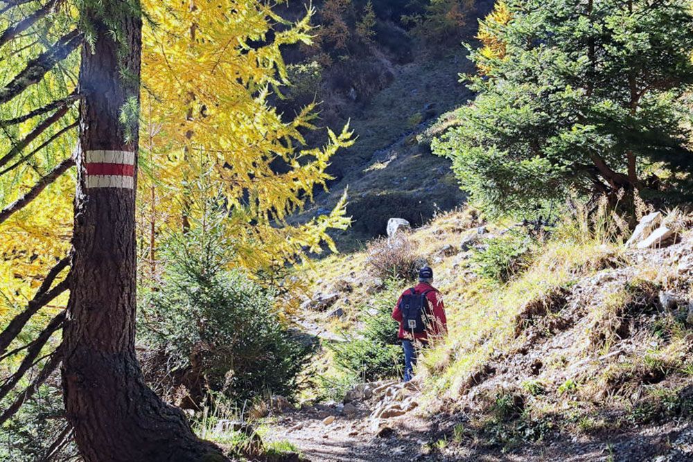 Hiker with autumn colours