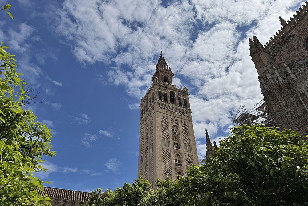 Seville's cathedral