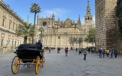 The Cathedral of Seville: a visit that stays with you