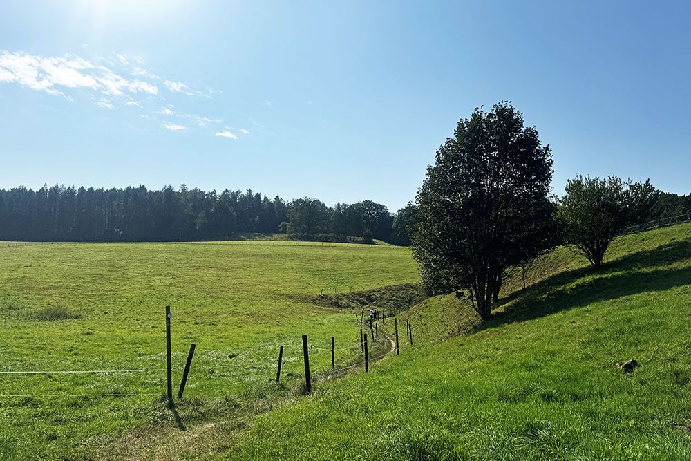 Walking path