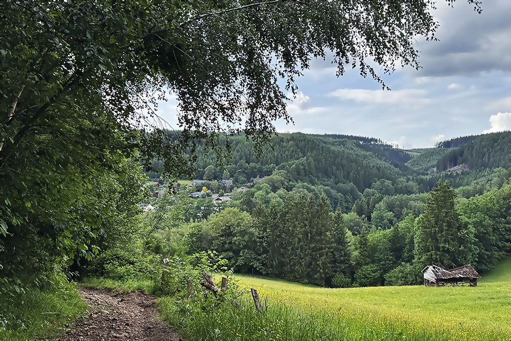 Typical Ardennes' landscape