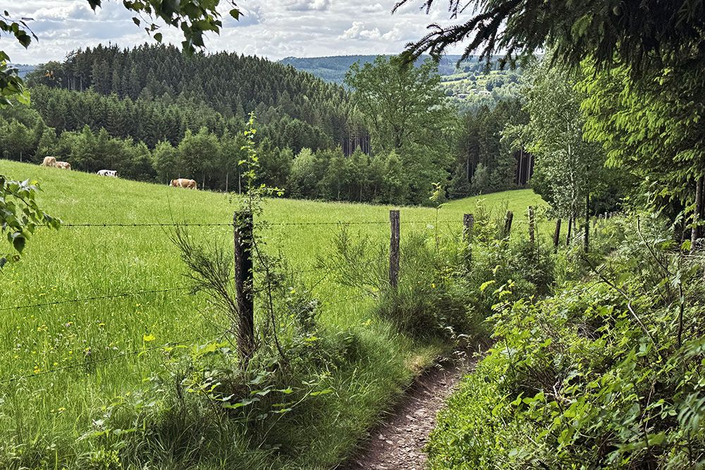 Path along a pasture