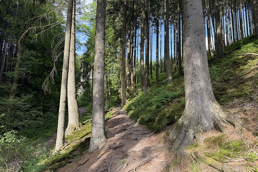 Path uphill