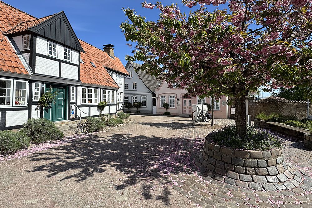 Blossoms in Kappeln, Schleswig-Holstein